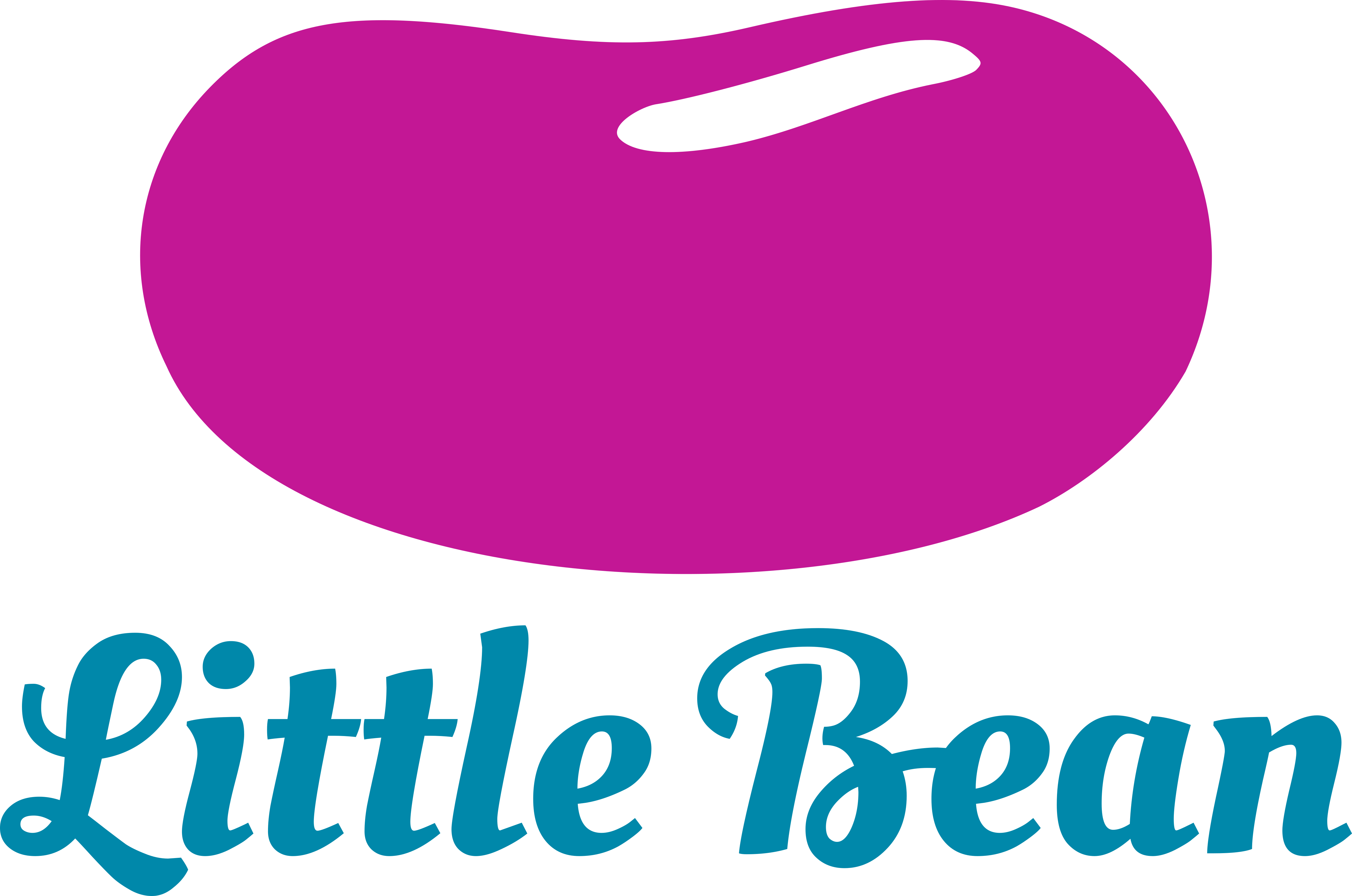 sponsor logo little bean